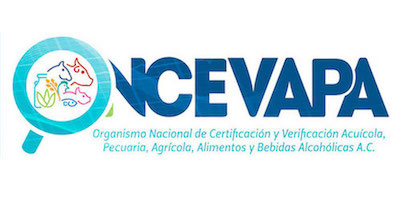 Logotipo Oncevapa